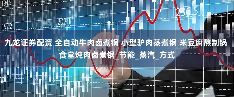 九龙证券配资 全自动牛肉卤煮锅 小型驴肉蒸煮锅 米豆腐熬制锅 食堂炖肉卤煮锅_节能_蒸汽_方式