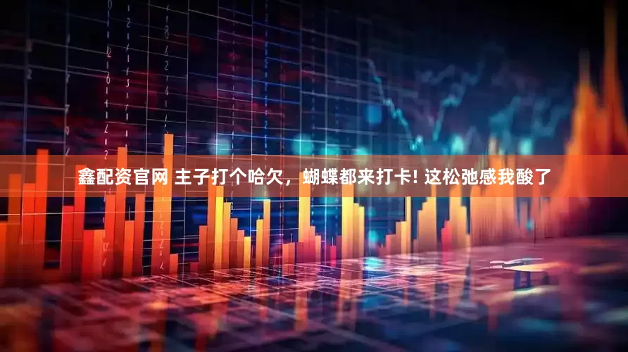 鑫配资官网 主子打个哈欠，蝴蝶都来打卡! 这松弛感我酸了