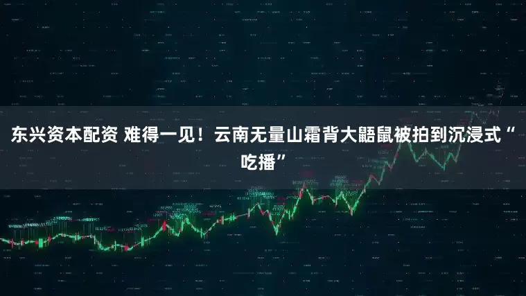 东兴资本配资 难得一见！云南无量山霜背大鼯鼠被拍到沉浸式“吃播”