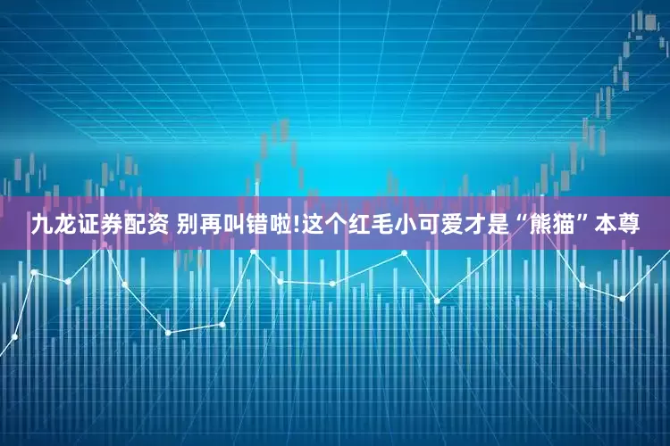 九龙证券配资 别再叫错啦!这个红毛小可爱才是“熊猫”本尊