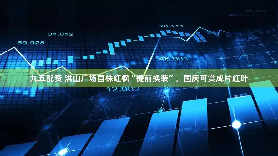 九五配资 洪山广场百株红枫“提前换装”，国庆可赏成片红叶
